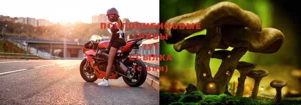 гашишное масло Абаза