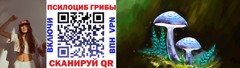 darknet телеграм  магазин  наркотиков  Новочеркасск  Псилоцибиновые грибы MAGIC MUSHROOMS 
